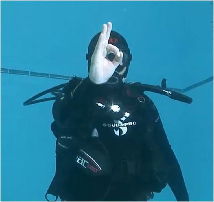 Scuba diver demonstrating a hand signal