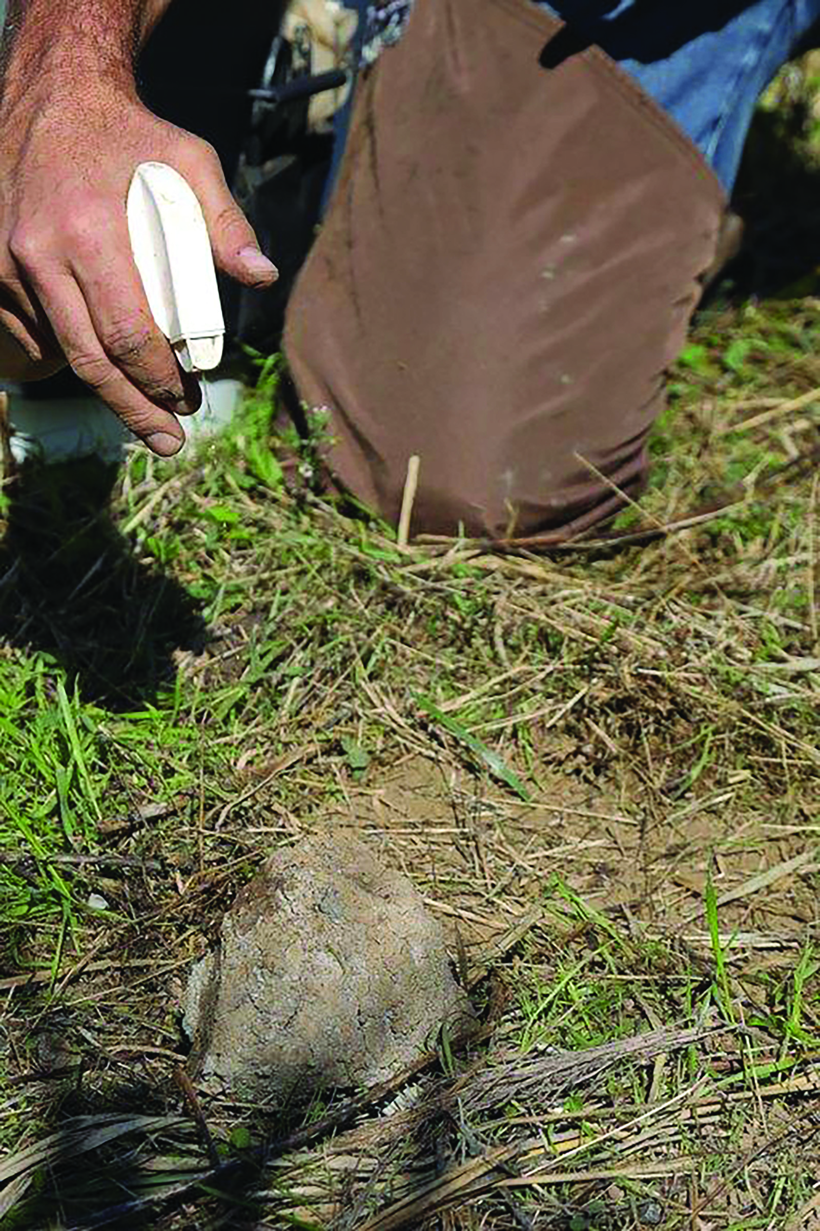 Trapper adding lure to a dirt hole set