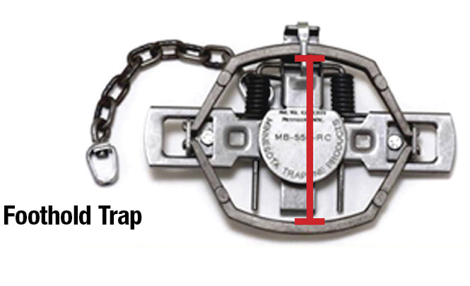 Foothold trap