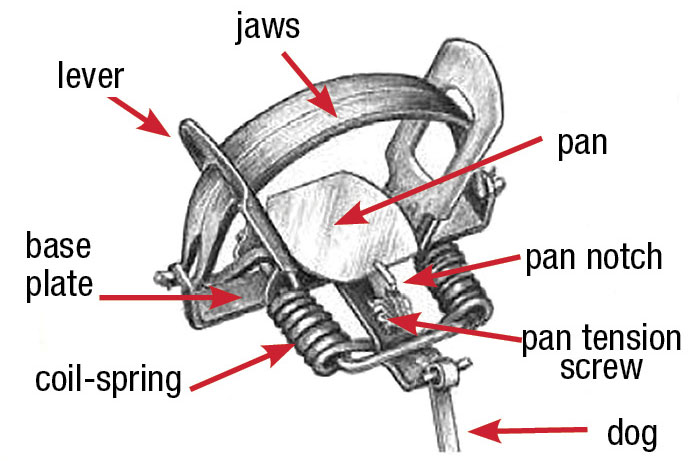 Coil-spring foothold trap