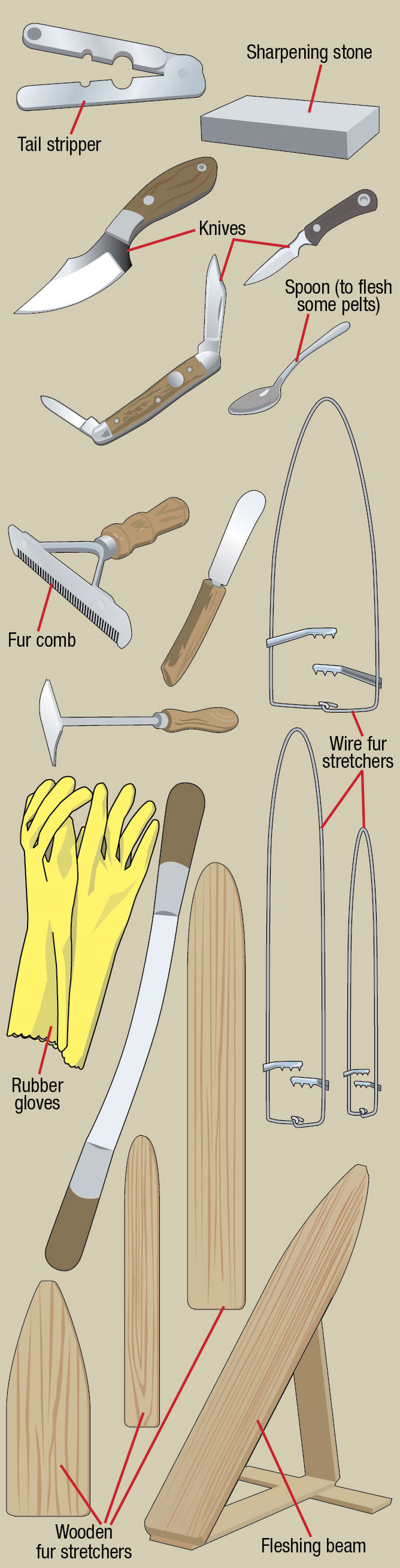 Equipment for preparing pelts