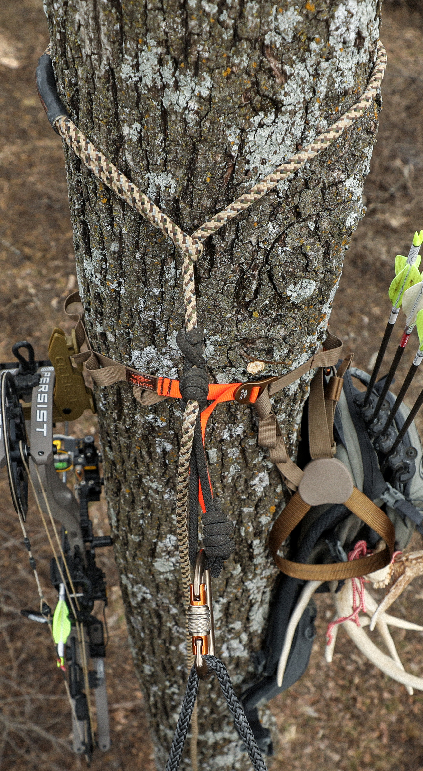 Hunter tethered to a tree with equipment hanging