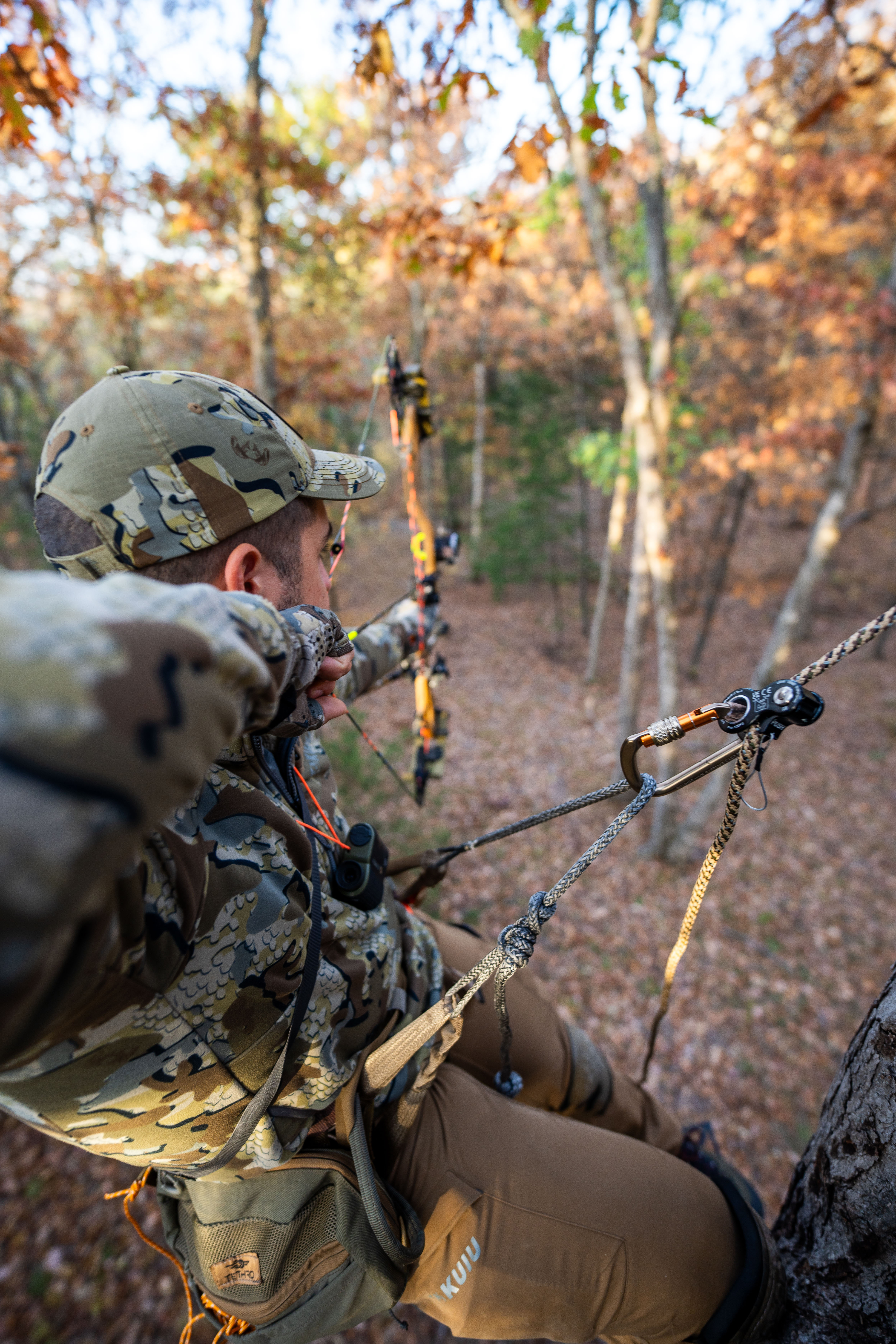 Hunter tethered to a tree with bow drawn