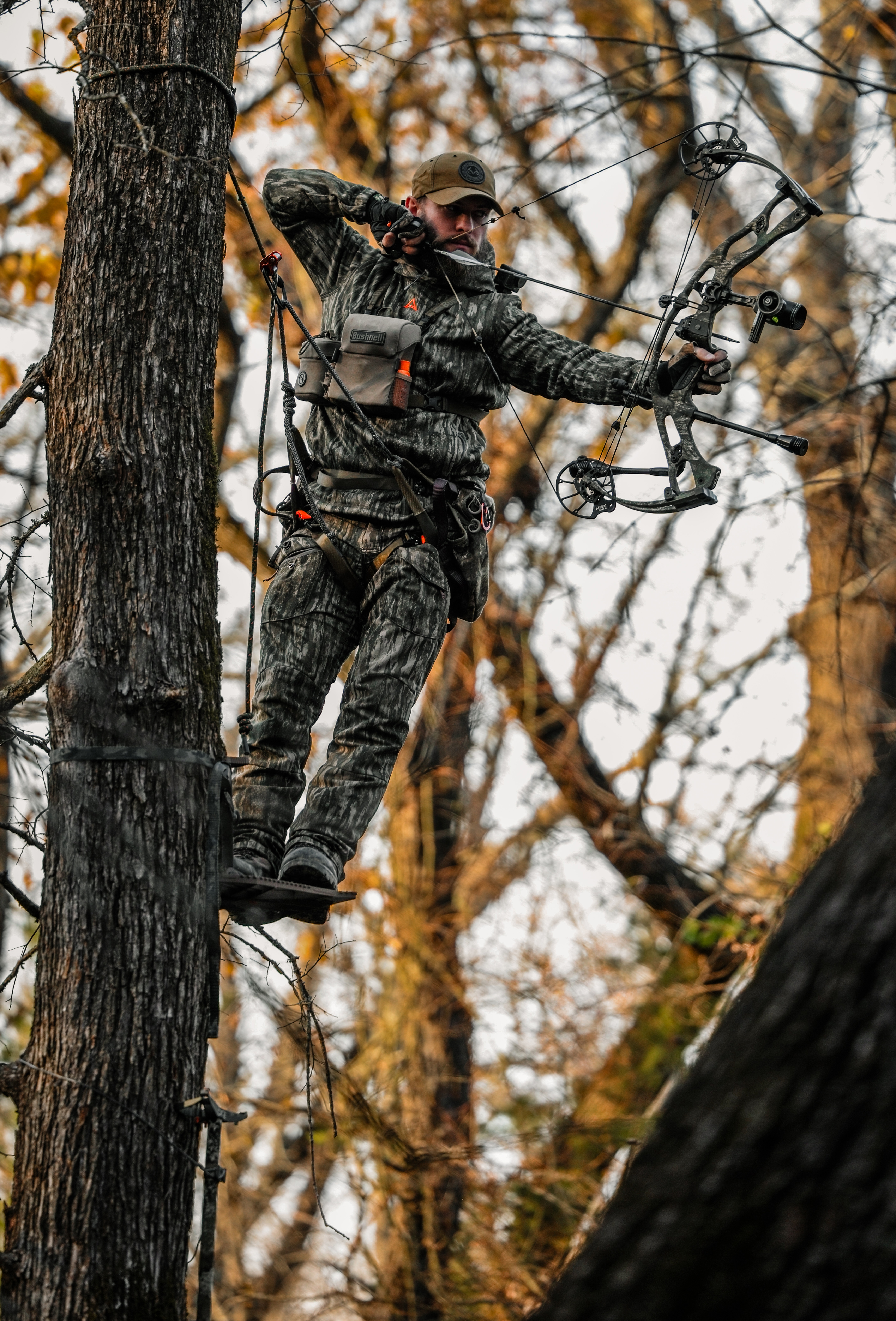 Bowhunter shooting right on a platform