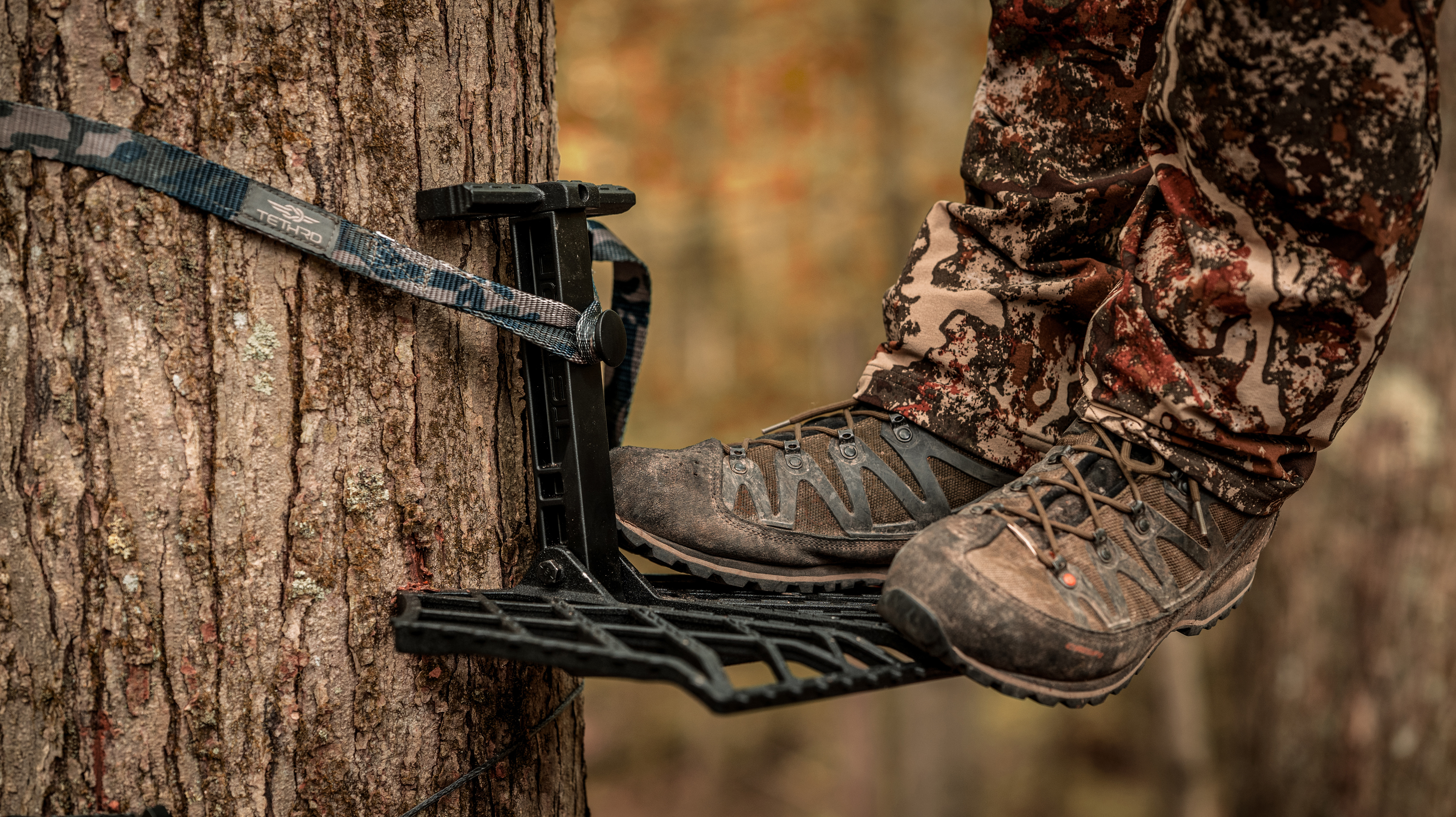 Hunting platform on a tree with hunter standing on it