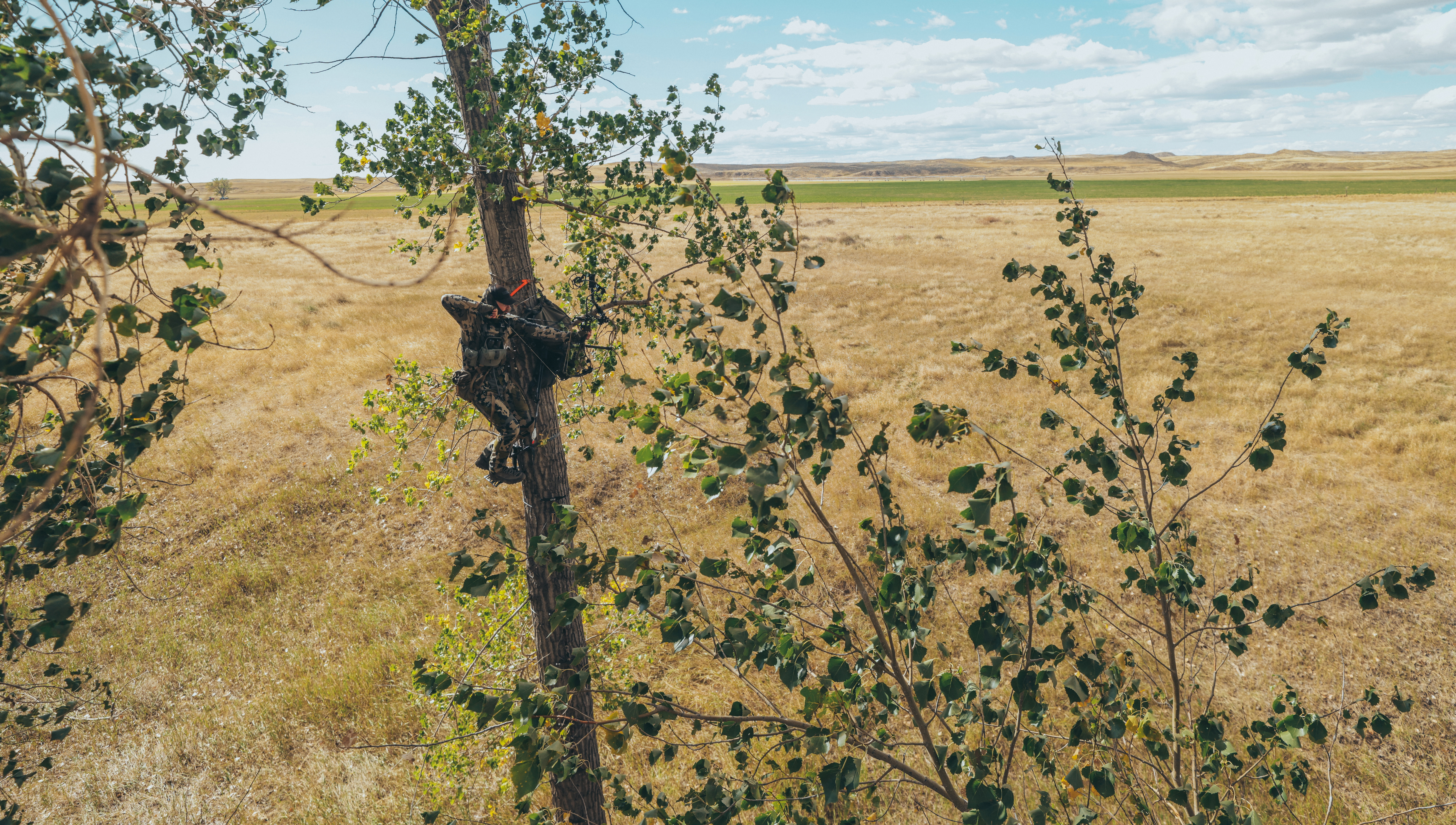 Hunter saddle hunting in a large prairie