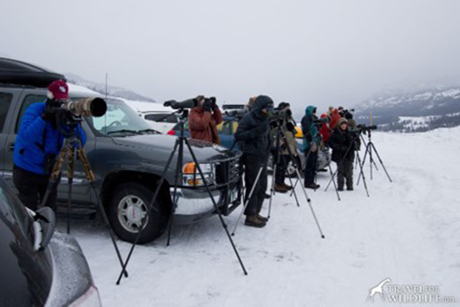 Hunters with tripod stands