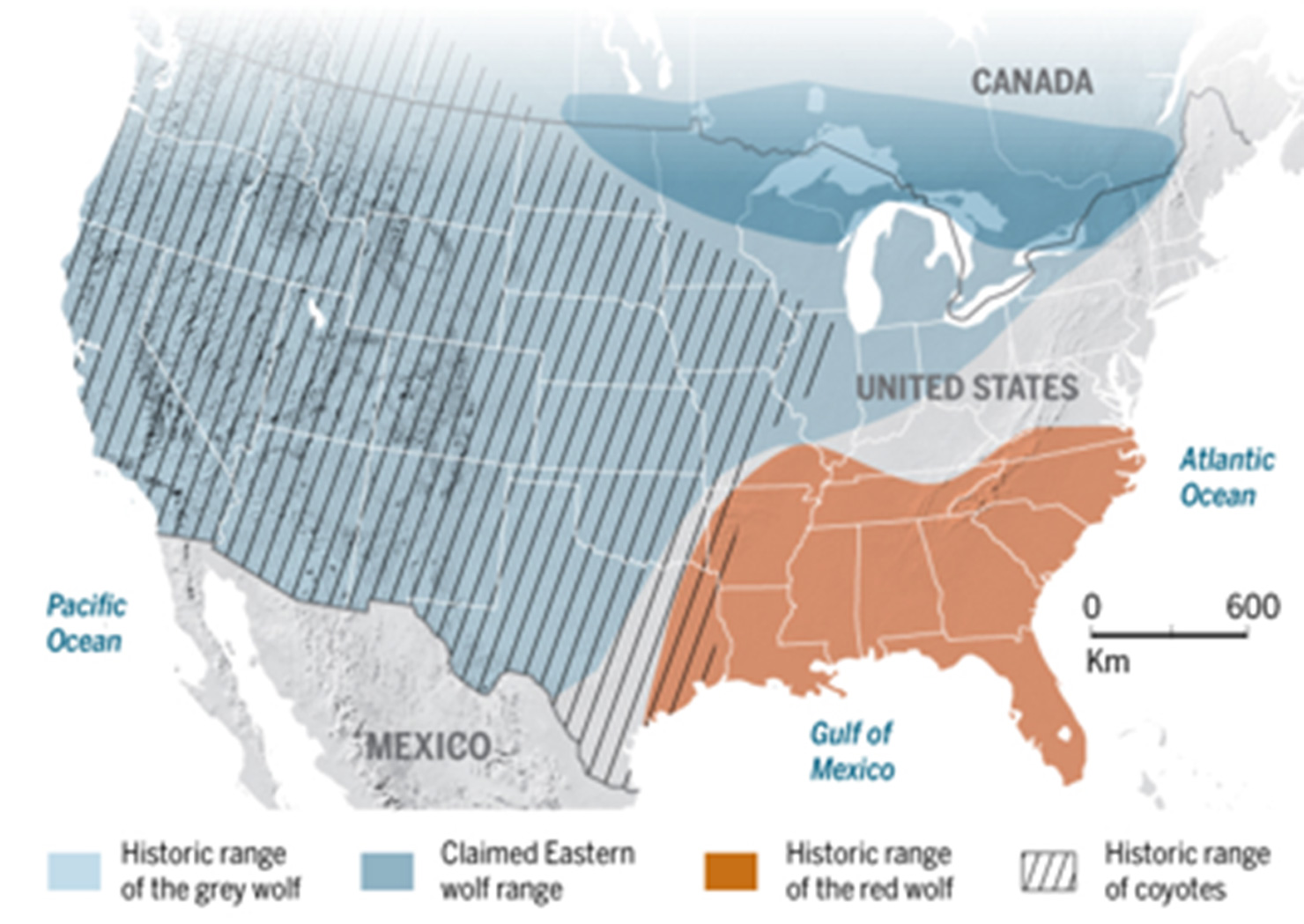Wolf distribitution